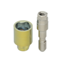 INTERNAL TRANSEPITHELIAL UNIT 4.1 RP Ø 4.1 H1.5