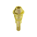 TRANSEPITHELIAL BONE LEVEL® SRA 4.6 H2.5