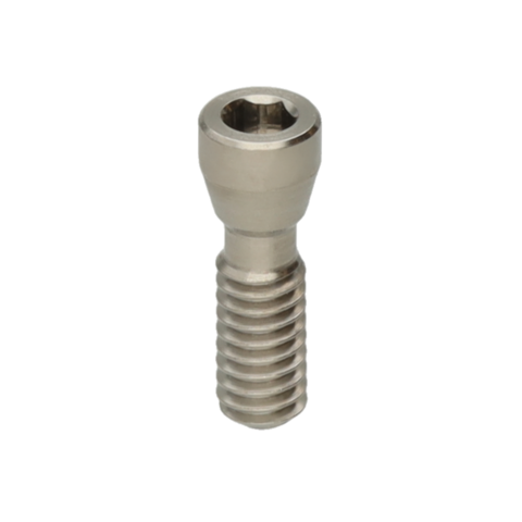 TORNILLO RECTO INTERNO NP, RP, WP MICRO HEAD