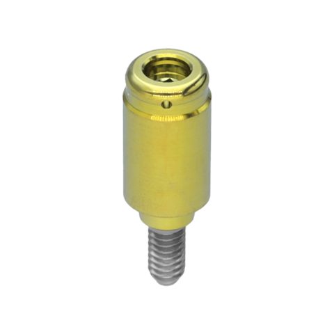 PILAR LOCATOR INTERNO RP H6.0