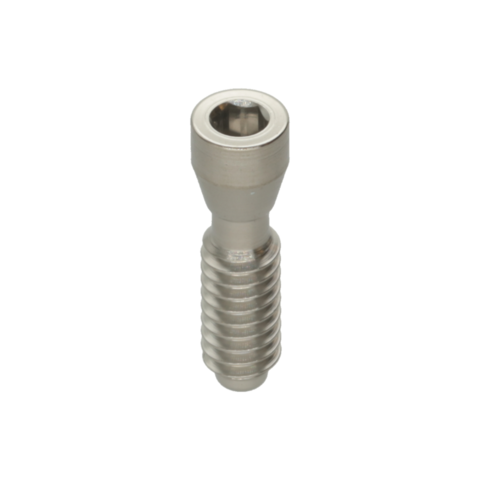 TORNILLO RECTO TSH® S2, S3/S4, S5 MICROHEAD