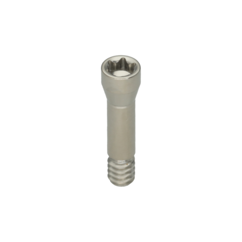 TORNILLO RECTO BONE LEVEL® RC